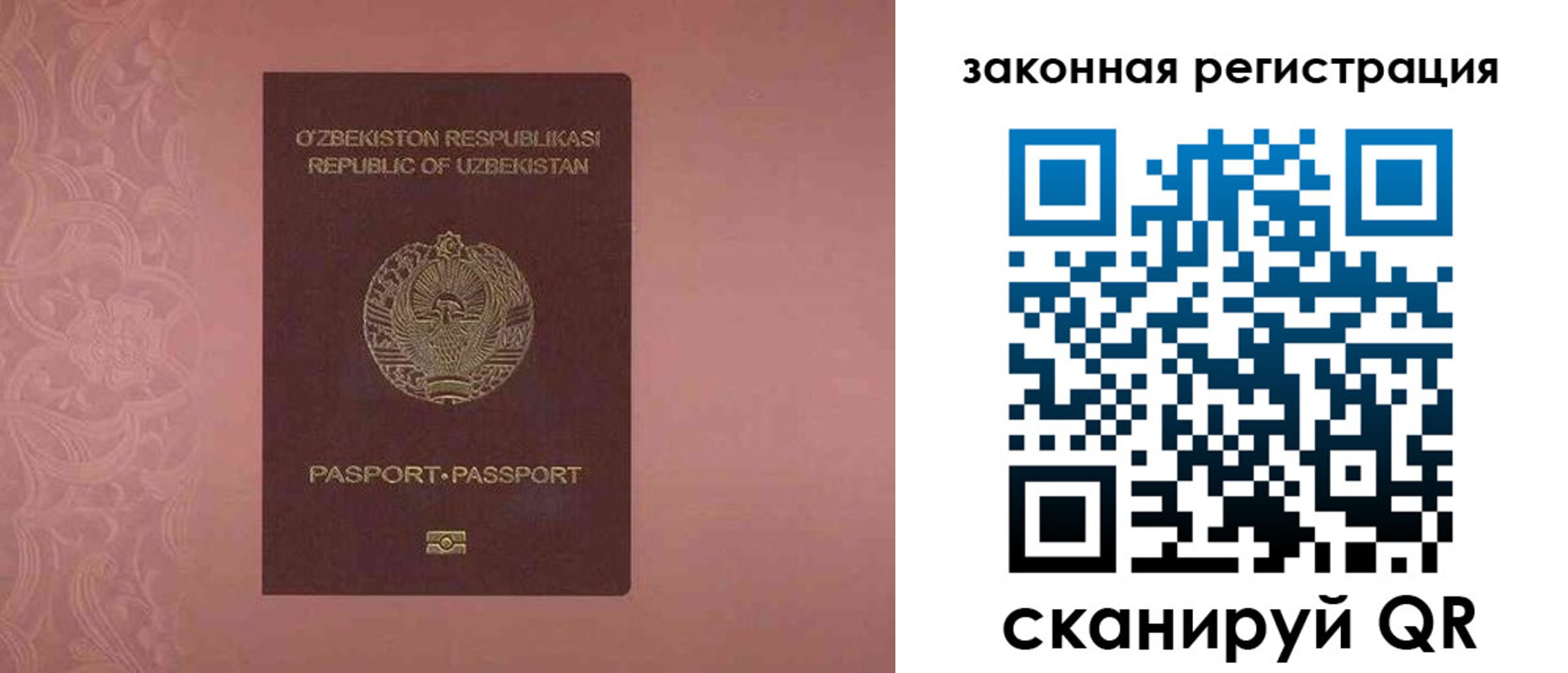 прописка регистрация в Димитровграде
